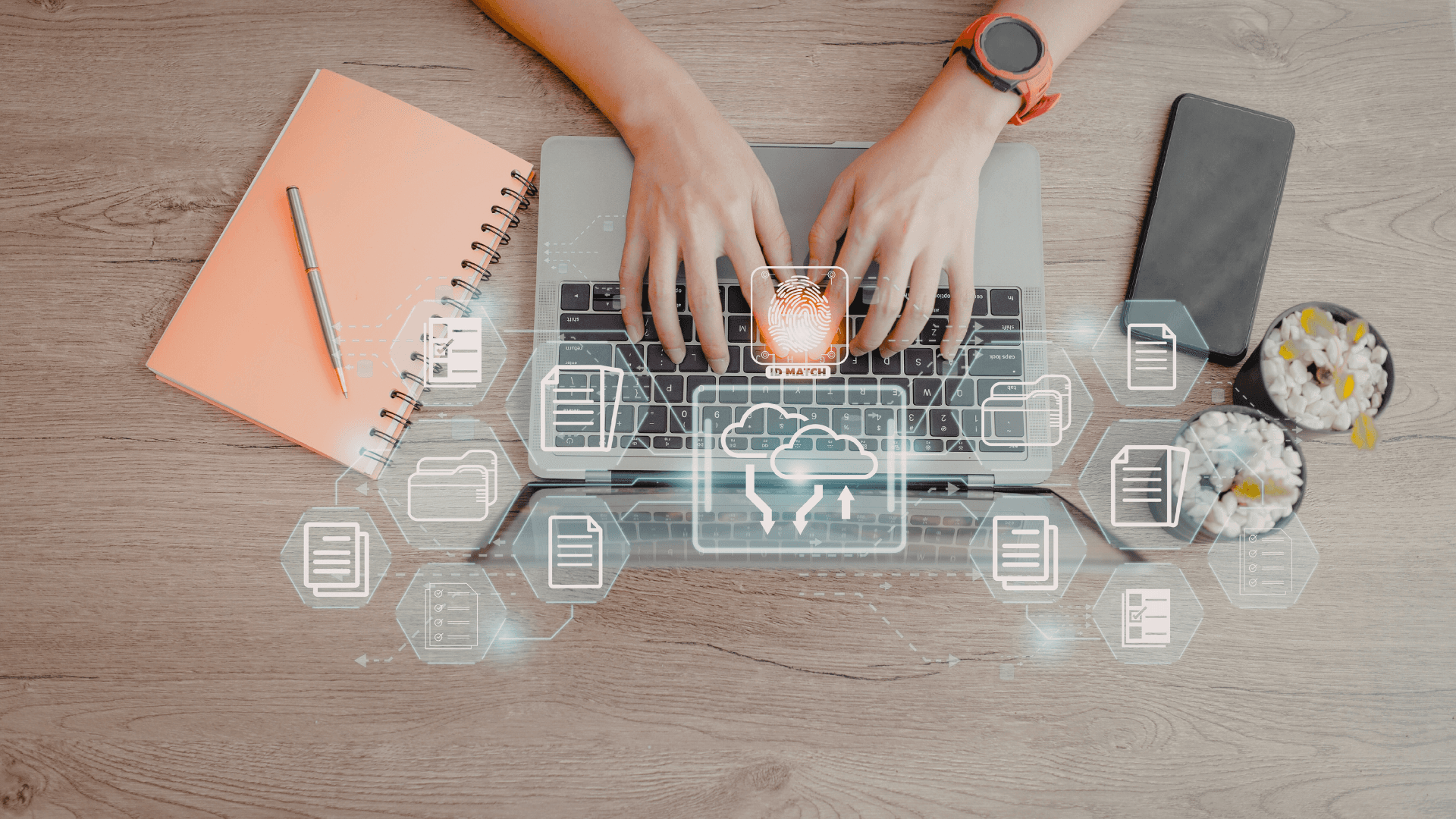 Organization by SUBS